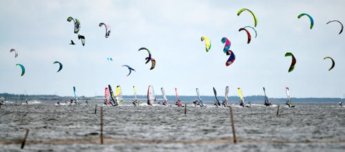 Billede af surfere på fjorden